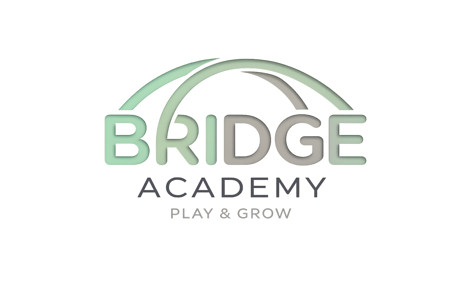 Bridge Academy